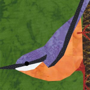 Nuthatch/ boomklever